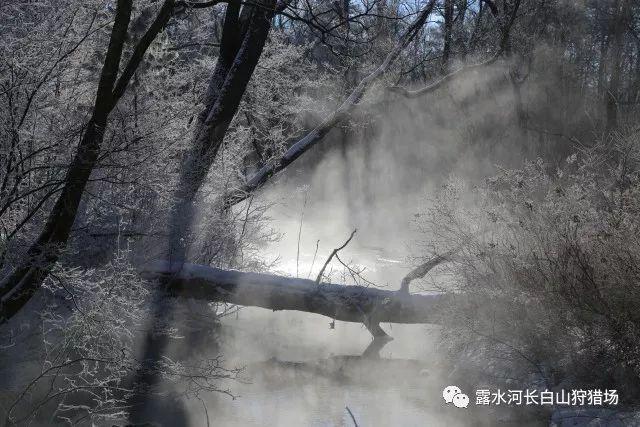 骑士的侍从